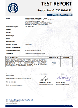 NEC 16 3.0-45.EMS BK (2024-02-05)